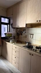 Blk 219B Linear Green @ Bedok (Bedok), HDB 4 Rooms #558779321